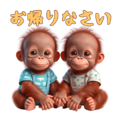 [LINEスタンプ] [お帰りなさい専用]双子オランウータンベビ