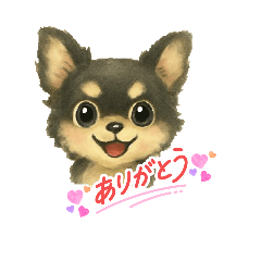 [LINEスタンプ] チワワのコテツさん(手書き風)