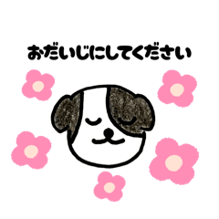 [LINEスタンプ] ボーダーコリー ハーフフェイス