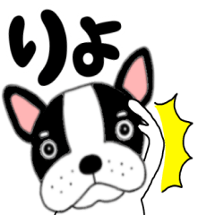 [LINEスタンプ] 【毎日】フレンチブルドックのブルちゃん48