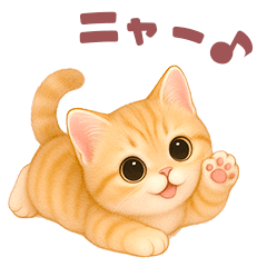 [LINEスタンプ] ニャンコ❤️ニャンコ