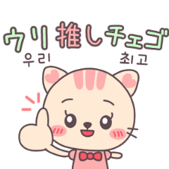 [LINEスタンプ] コヤンの推し活♡日韓Mix