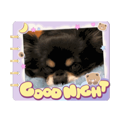 [LINEスタンプ] うちの子 クーたん 
