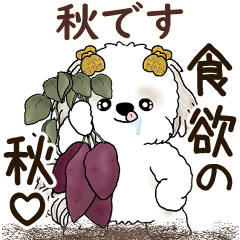 [LINEスタンプ] 動くシーズー犬 2025 「秋」20