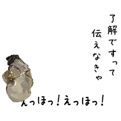 [LINEスタンプ] えっほ！生牡蠣さん