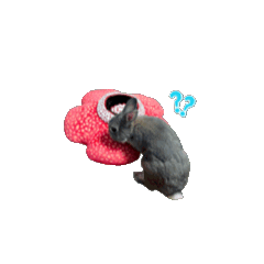 [LINEスタンプ] 福ちゃんと華丸 fetchpriority=high