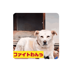 [LINEスタンプ] バニラぱん4