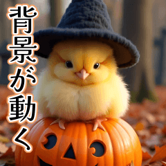 [LINEスタンプ] 背景が動く★秋を感じる・毎日使えるひよこ