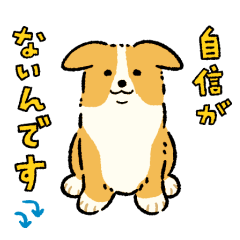 [LINEスタンプ] 今日もコーギーが可愛い3