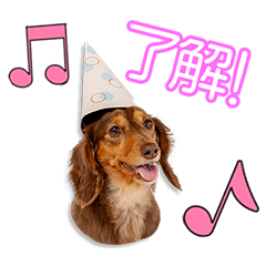 [LINEスタンプ] 大森家のチョコちゃん2