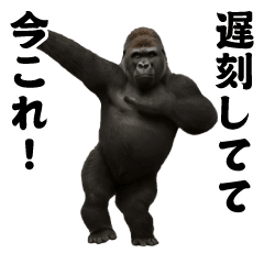 [LINEスタンプ] 踊る！今これ界隈/マウンテンゴリラ