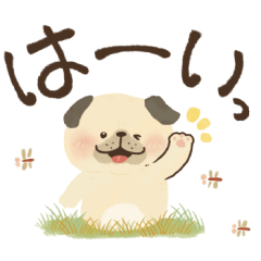[LINEスタンプ] 毎日つかえる♡にっこりパグと筆文字♡秋冬