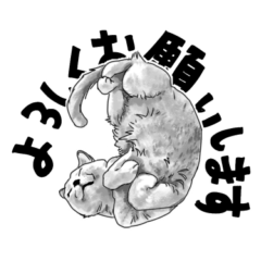 [LINEスタンプ] グレーの猫とよく使う言葉だけスタンプ