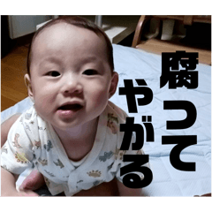 [LINEスタンプ] いおりくんだよううううう！