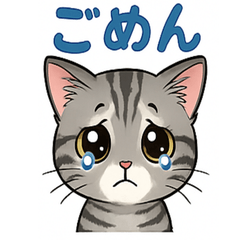[LINEスタンプ] 可愛い子猫のゆるふわスタンプ2