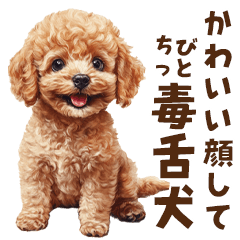 [LINEスタンプ] 毒舌トイプードルのひとこと