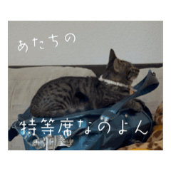 [LINEスタンプ] うちのうにが可愛い2 