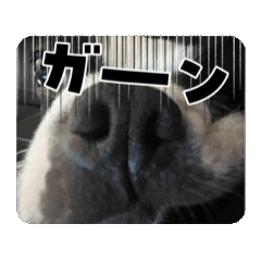 [LINEスタンプ] ぱぷまう 