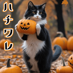 [LINEスタンプ] 飛び出す★秋を感じる・ハチワレ猫