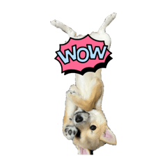 [LINEスタンプ] 子犬から成長した飼い犬②