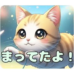 [LINEスタンプ] ねこねこにゃんにゃんこスタンプ