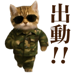 [LINEスタンプ] 踊る！軍人にゃんこ