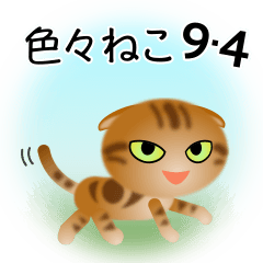 [LINEスタンプ] 色々な猫9-4 短毛-垂れ耳-茶アメショ
