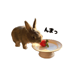 [LINEスタンプ] アーニーと福ちゃんと華丸とモモサク。 