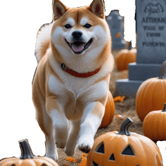 [LINEスタンプ] 飛び出す★秋を感じる・柴犬__毎日使える