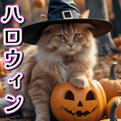 [LINEスタンプ] 飛び出す★秋を感じる・茶トラ猫__挨拶