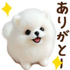 [LINEスタンプ] 動く♡羊毛ポメラニアンの家族連絡