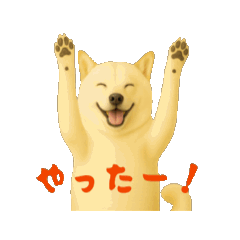 [LINEスタンプ] 動く！白柴犬の気持ち 