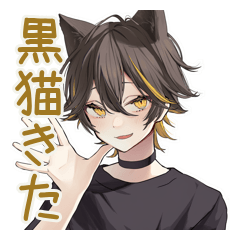 [LINEスタンプ] 黒猫系男子★グルチャ