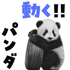 [LINEスタンプ] 動く！パンダ