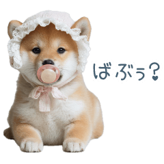 [LINEスタンプ] 実写甘える柴犬【かわいい・連絡】