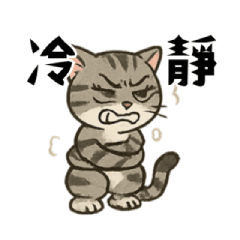 [LINEスタンプ] 猫の日常感情 