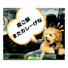 [LINEスタンプ] ポム君の日常② 