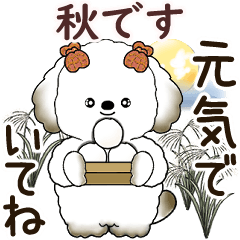 [LINEスタンプ] 動く犬さん 2025 「秋」