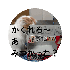 [LINEスタンプ] ペットたちの言い分 fetchpriority=high