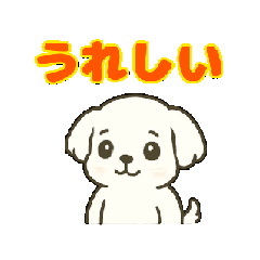 [LINEスタンプ] マルチーズちゃん(犬) 動くスタンプ16個