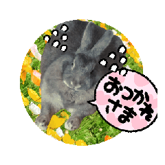 [LINEスタンプ] collection① 