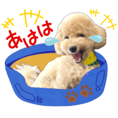 [LINEスタンプ] ちょっとやんちゃ犬イクラ君のリアクション