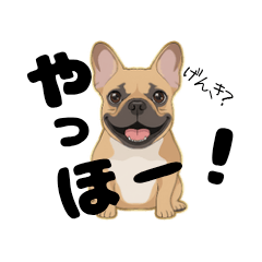 [LINEスタンプ] 人間味あふれるかわいいフレブルのスタンプ