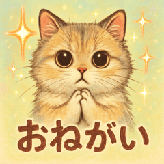 [LINEスタンプ] ド派手！パワフル猫スタンプ！！