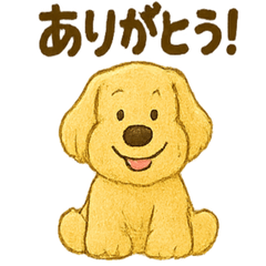 [LINEスタンプ] ふわもこ犬の日常スタンプ1