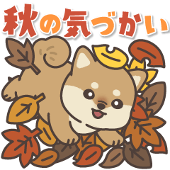 [LINEスタンプ] 飛びだす♪秋のぽてぽて子柴犬スタンプ