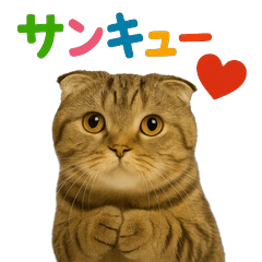 [LINEスタンプ] 日常使い 猫がそばにいる