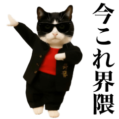 [LINEスタンプ] 踊る！今これスケバンにゃんこ