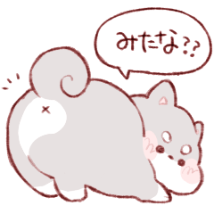 [LINEスタンプ] もちしばちゃん