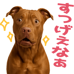[LINEスタンプ] 表情豊かなピットブルのぴーちゃん